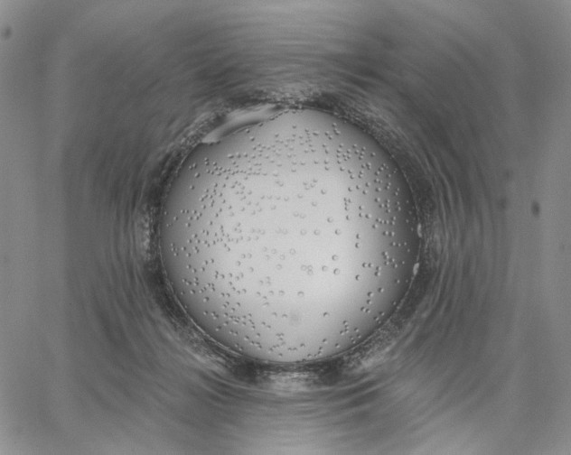 X0000062860268200602031659