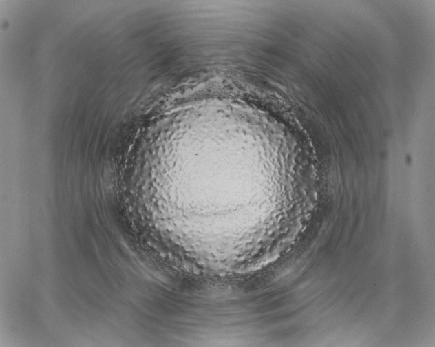 X0000062860272200602031659