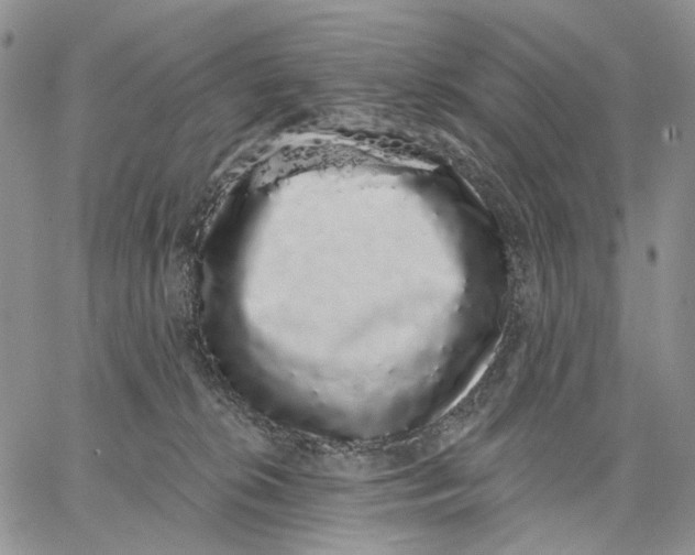 X0000062860276200602031659