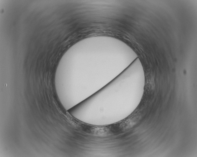 X0000062860277200602031659