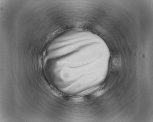 X0000062860286200602031659