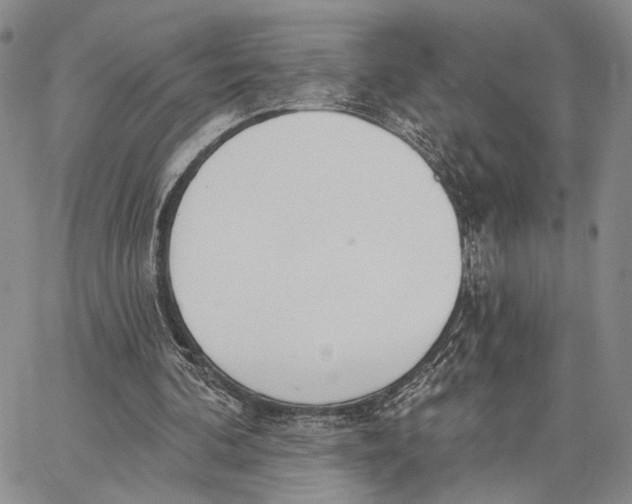 X0000062860292200602031658