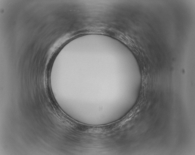 X0000062860294200602031658