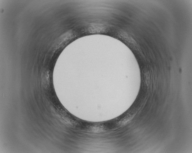 X0000062860308200602031658