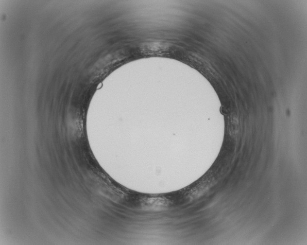 X0000062860324200602031658