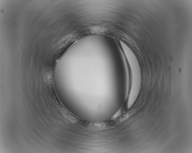 X0000062860329200602031658