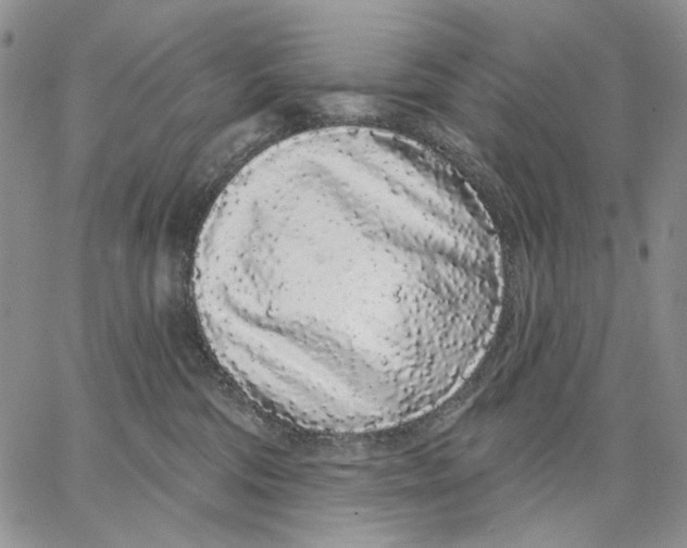 X0000062860330200602031658