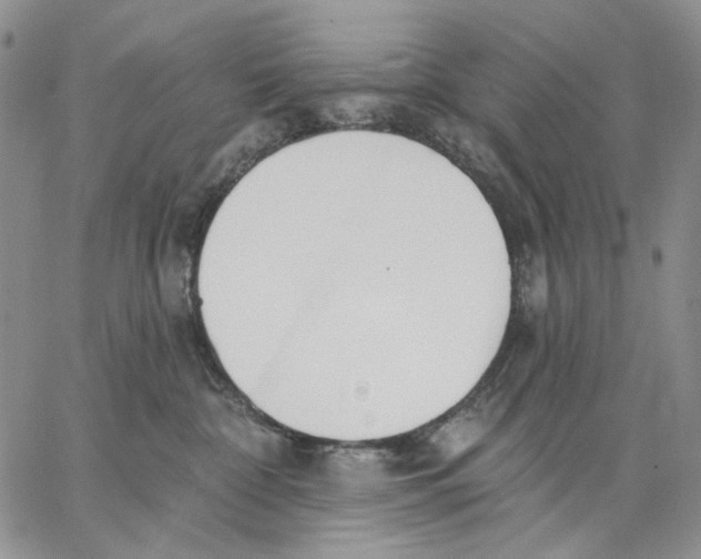 X0000062860332200602031658
