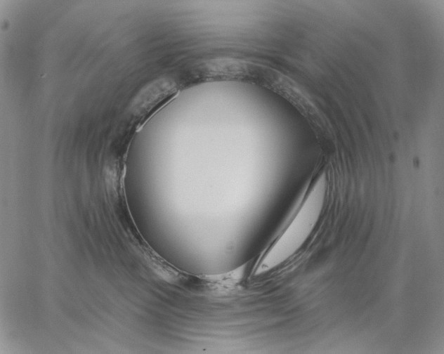 X0000062860333200602031658