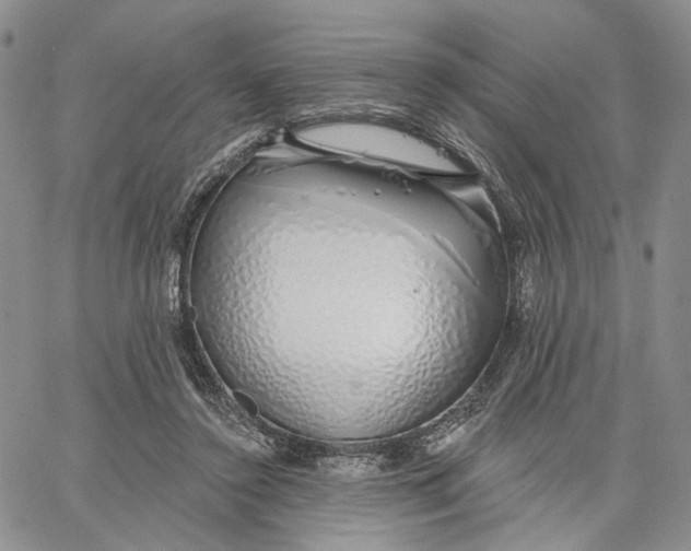 X0000062860356200602031657