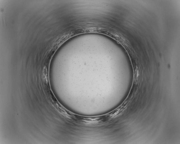 X0000062860361200602031657