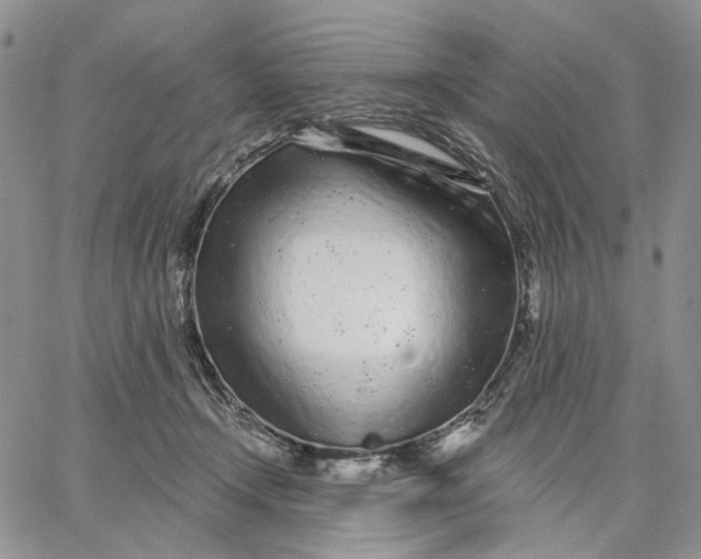X0000062860366200602031657