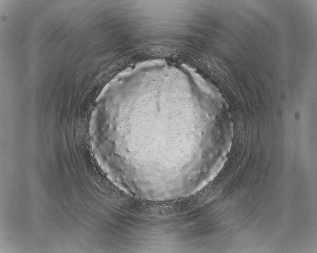 X0000062860371200602031658