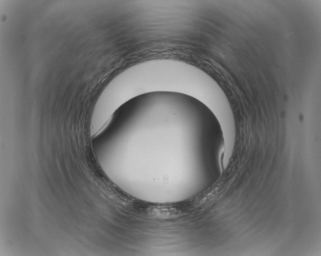 X0000062860372200602031658