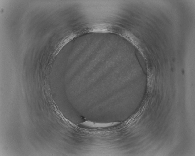 X0000062860385200602031657