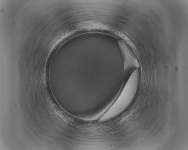 X0000062860391200602031657
