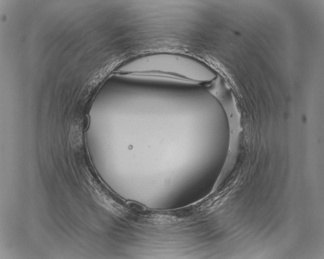 X0000062860393200602031657