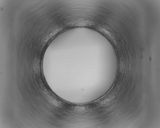 X0000062860394200602031657