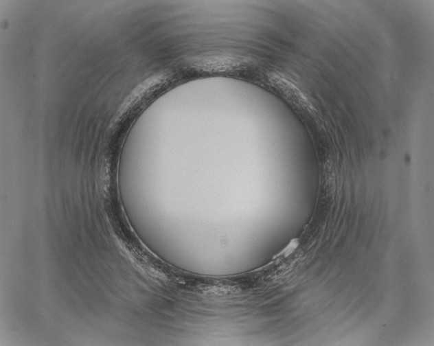 X0000062860400200602031657