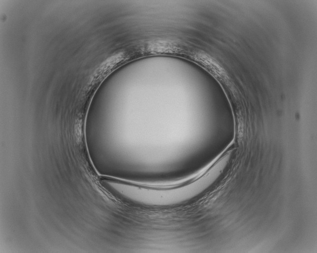 X0000062860401200602031657