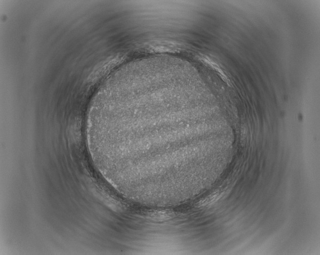 X0000062860402200602031657
