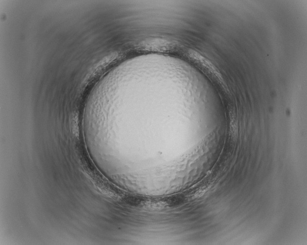 X0000062860403200602031657