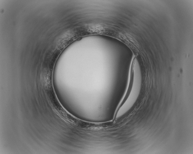 X0000062860408200602031657