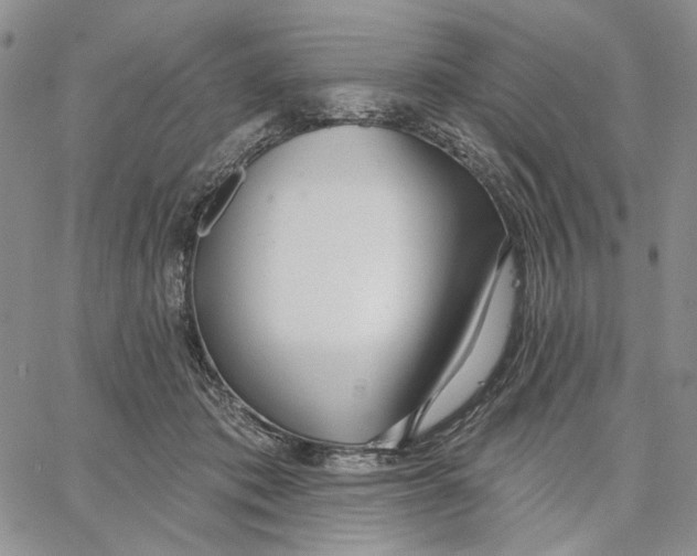 X0000062860413200602031657