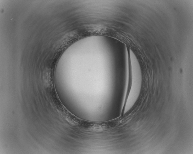 X0000062860416200602031656