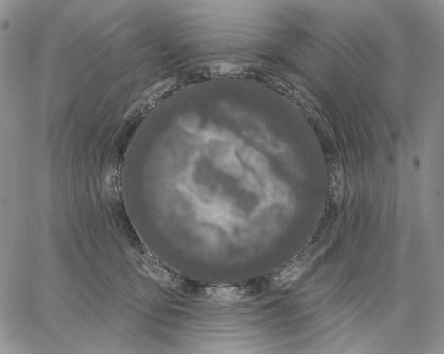 X0000062860419200602031656