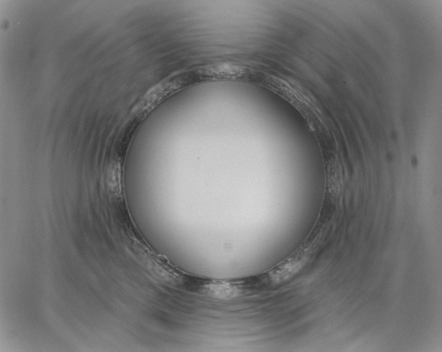 X0000062860425200602031656