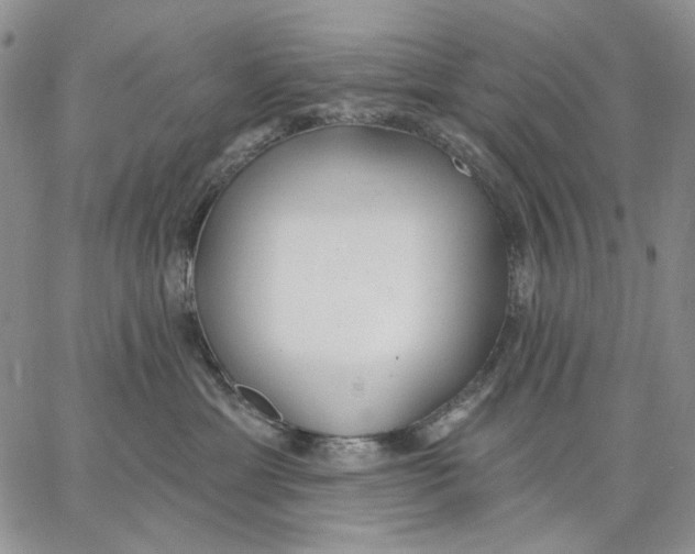 X0000062860429200602031656