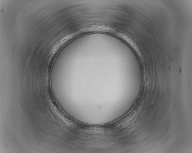 X0000062860437200602031656
