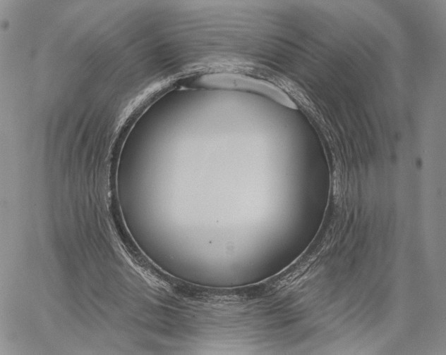X0000062860438200602031656