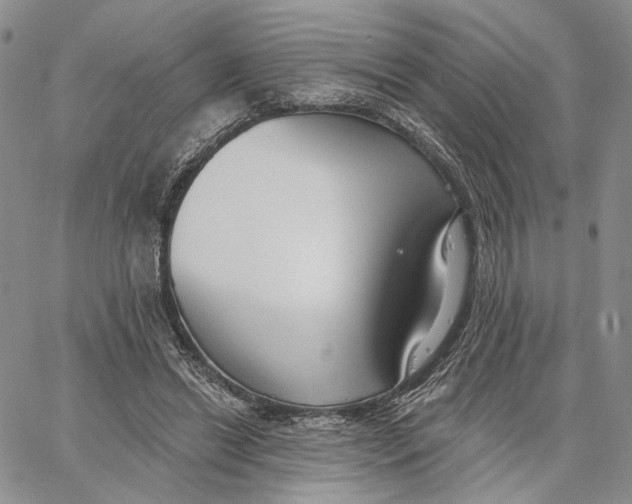 X0000062860446200602031656