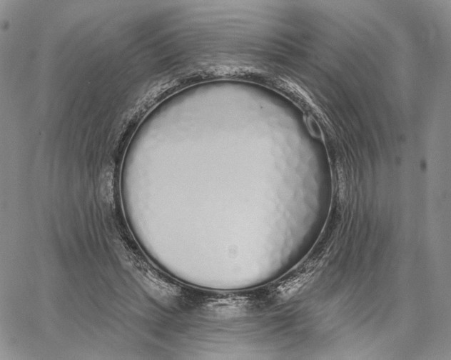 X0000062860447200602031656