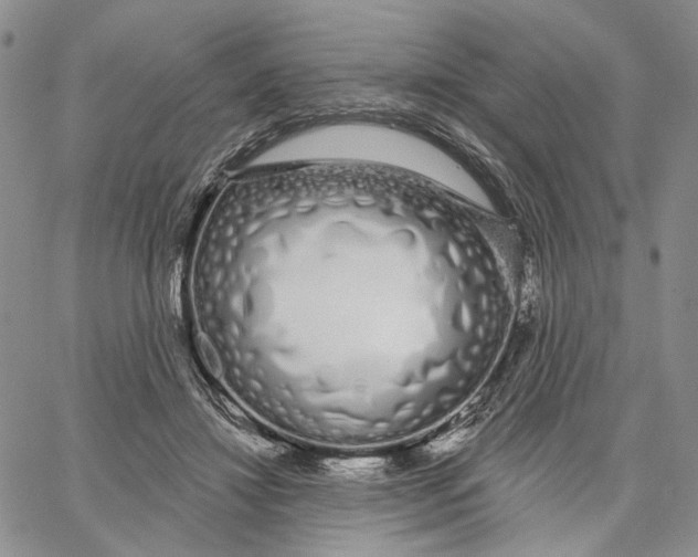 X0000062860452200602031656