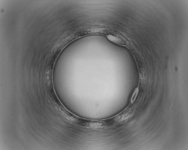 X0000062860462200602031656
