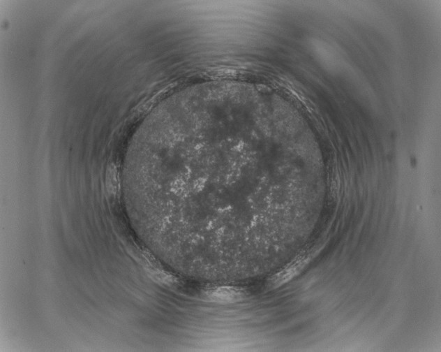 X0000062860467200602031656