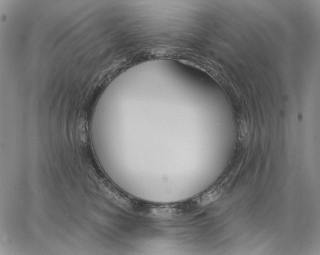 X0000062860470200602031656