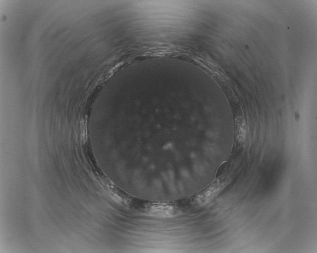 X0000062860471200602031656