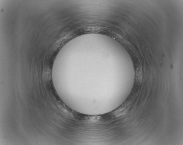 X0000062860474200602031656