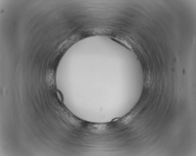 X0000062860478200602031656