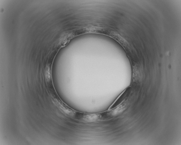X0000062860479200602031656