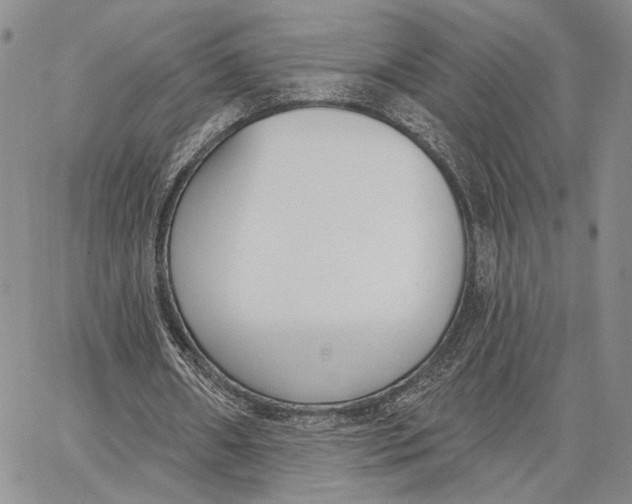 X0000062860482200602031655
