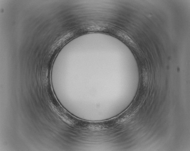 X0000062860490200602031655