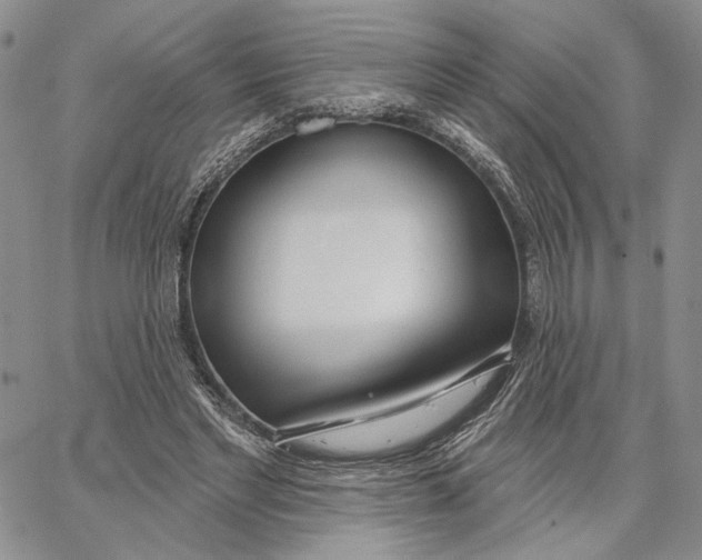 X0000062860493200602031655