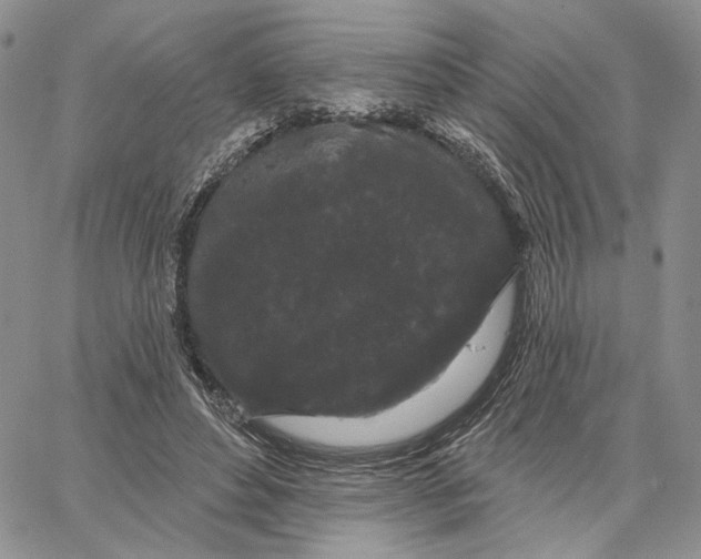 X0000062860496200602031655