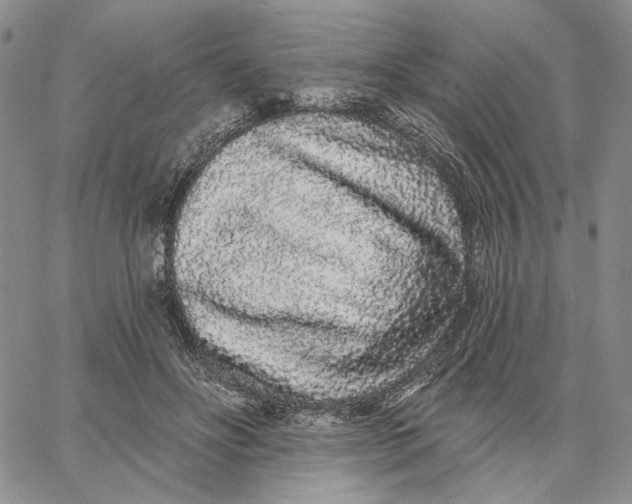 X0000062860502200602031655