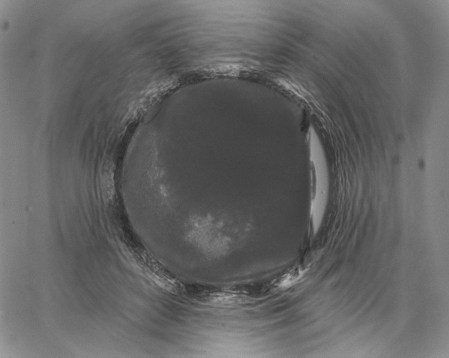 X0000062860504200602031655